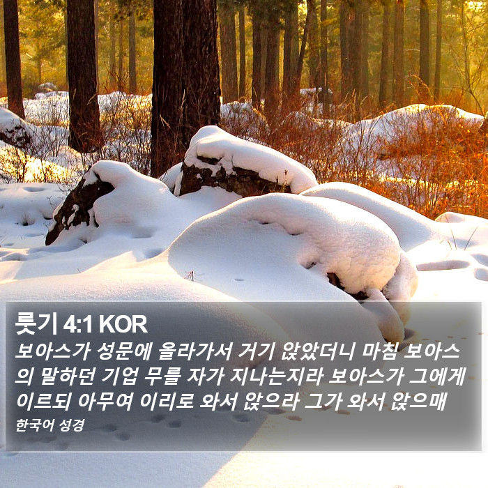 룻기 4:1 KOR Bible Study