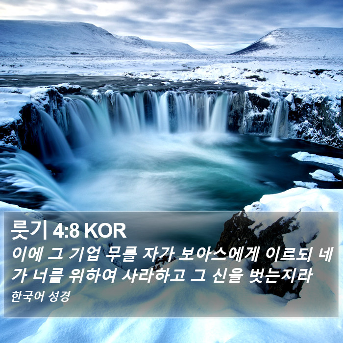 룻기 4:8 KOR Bible Study