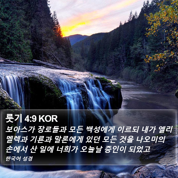 룻기 4:9 KOR Bible Study