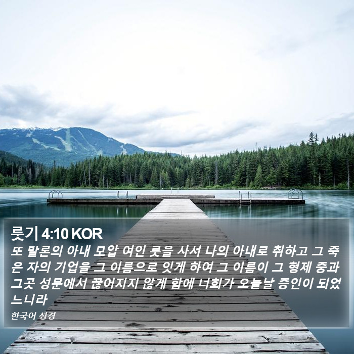 룻기 4:10 KOR Bible Study