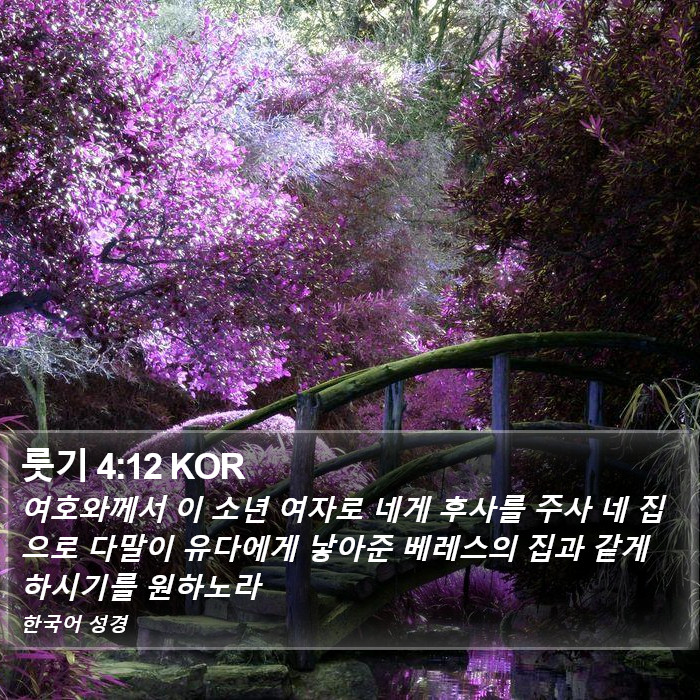 룻기 4:12 KOR Bible Study