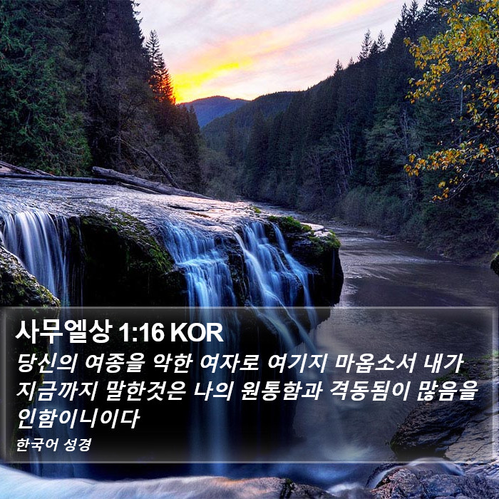 사무엘상 1:16 KOR Bible Study