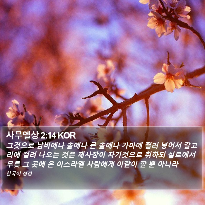 사무엘상 2:14 KOR Bible Study