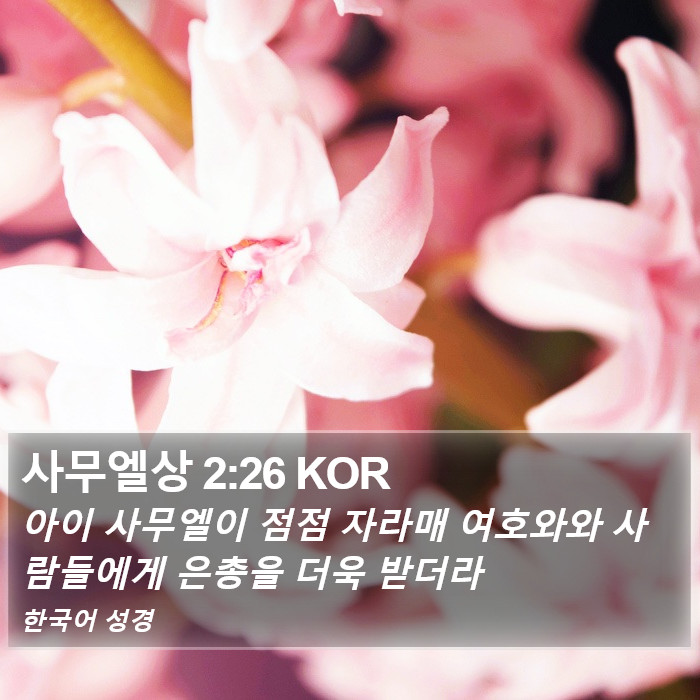 사무엘상 2:26 KOR Bible Study