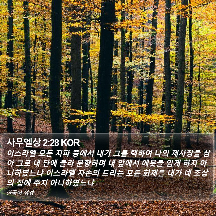 사무엘상 2:28 KOR Bible Study