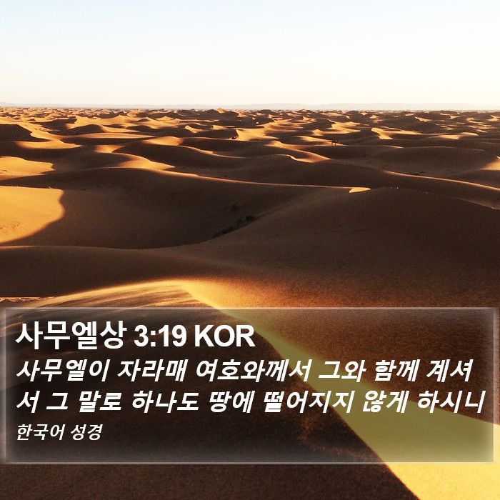 사무엘상 3:19 KOR Bible Study