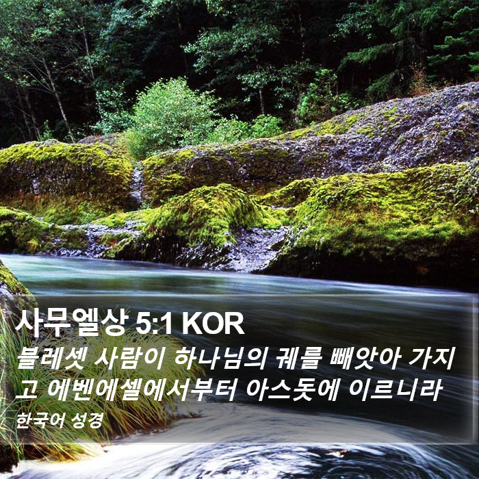 사무엘상 5:1 KOR Bible Study