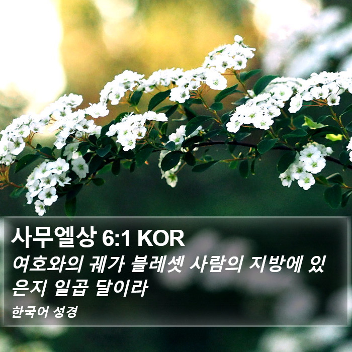 사무엘상 6:1 KOR Bible Study