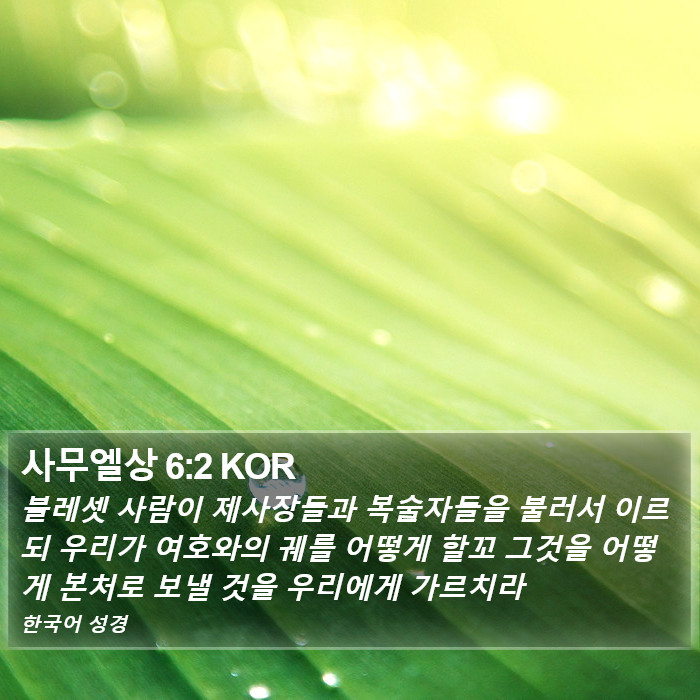 사무엘상 6:2 KOR Bible Study