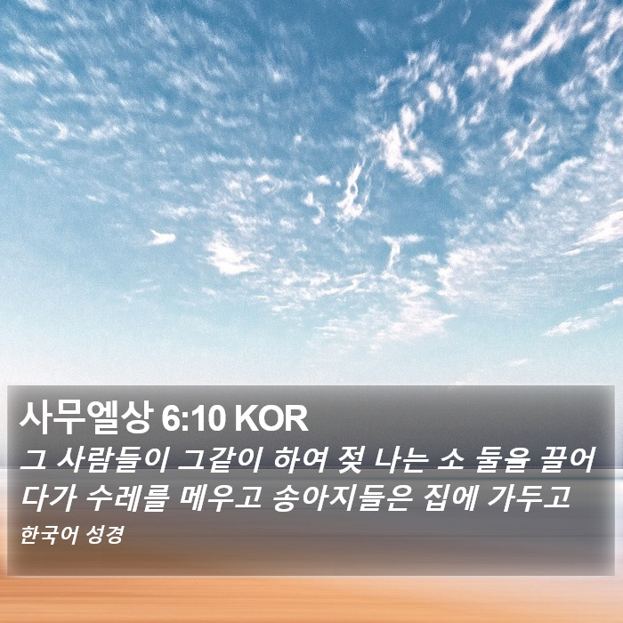 사무엘상 6:10 KOR Bible Study