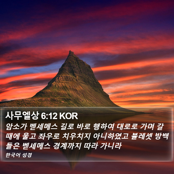 사무엘상 6:12 KOR Bible Study