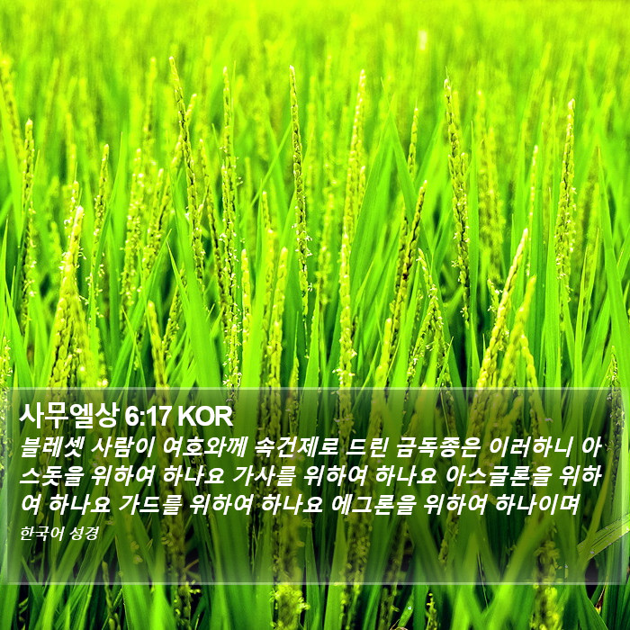 사무엘상 6:17 KOR Bible Study