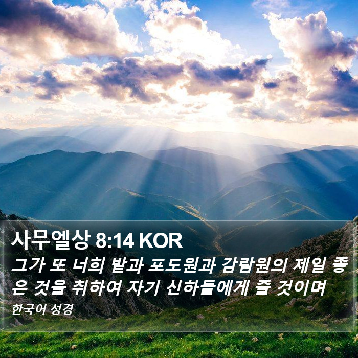 사무엘상 8:14 KOR Bible Study