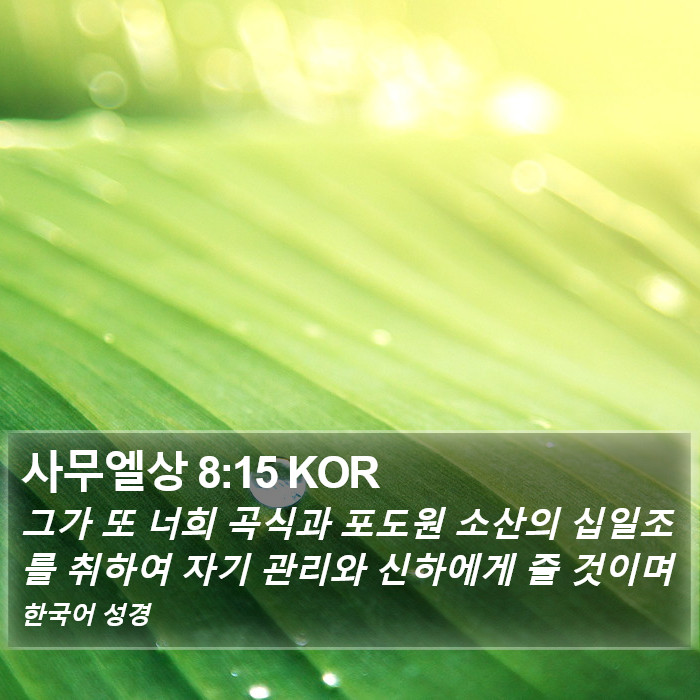 사무엘상 8:15 KOR Bible Study