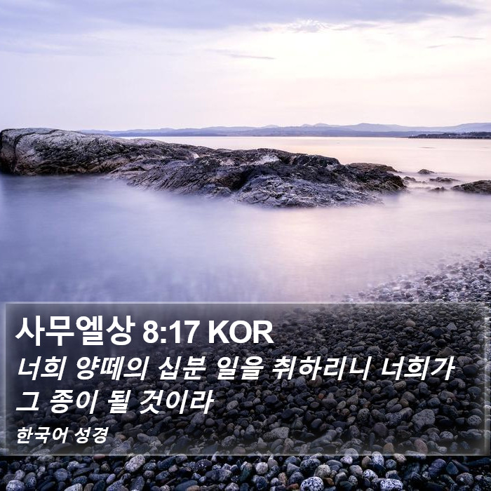 사무엘상 8:17 KOR Bible Study