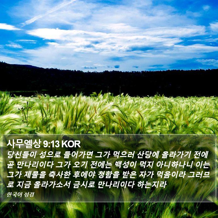 사무엘상 9:13 KOR Bible Study