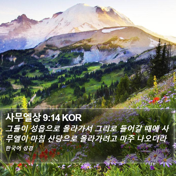 사무엘상 9:14 KOR Bible Study