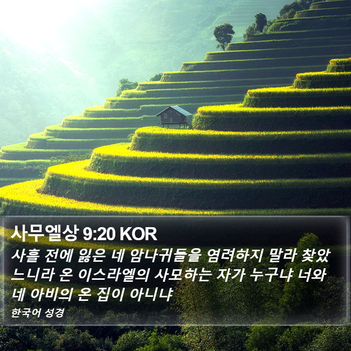 사무엘상 9:20 KOR Bible Study