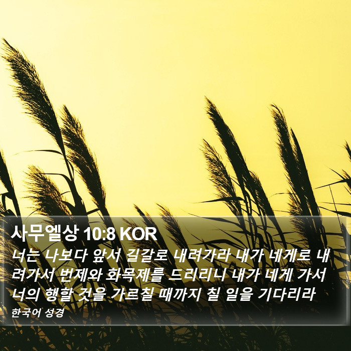 사무엘상 10:8 KOR Bible Study