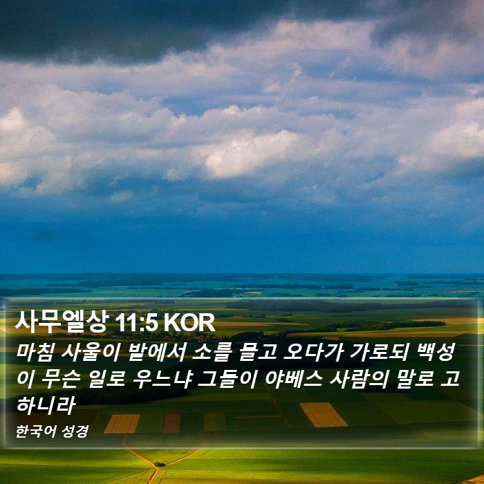 사무엘상 11:5 KOR Bible Study