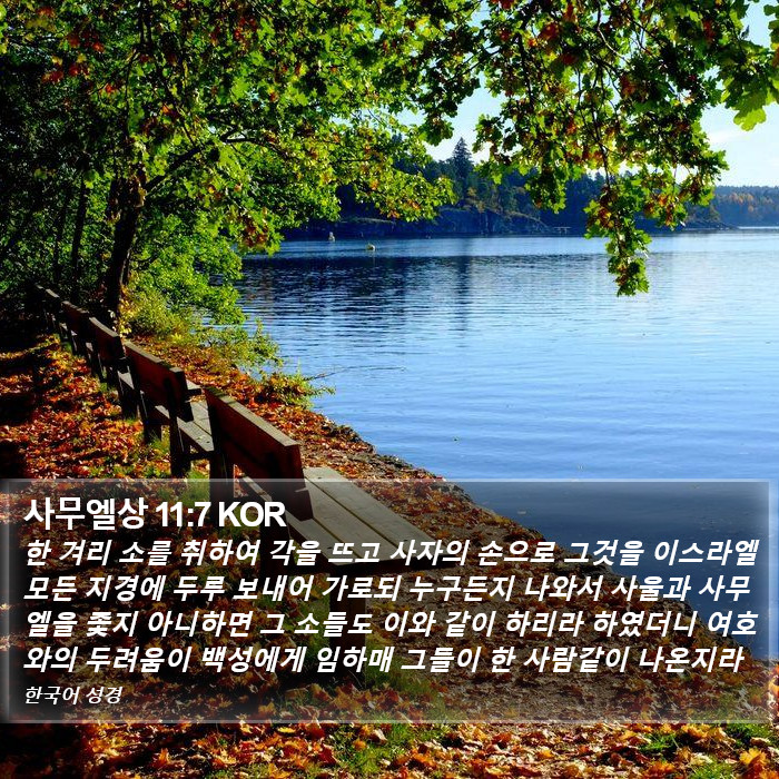 사무엘상 11:7 KOR Bible Study
