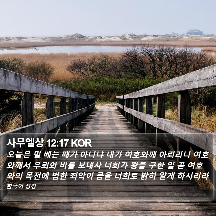사무엘상 12:17 KOR Bible Study