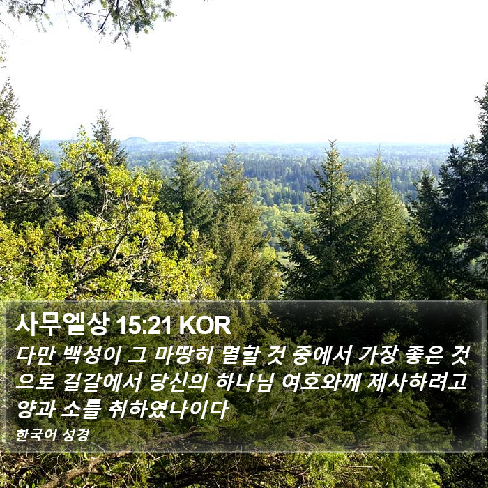 사무엘상 15:21 KOR Bible Study