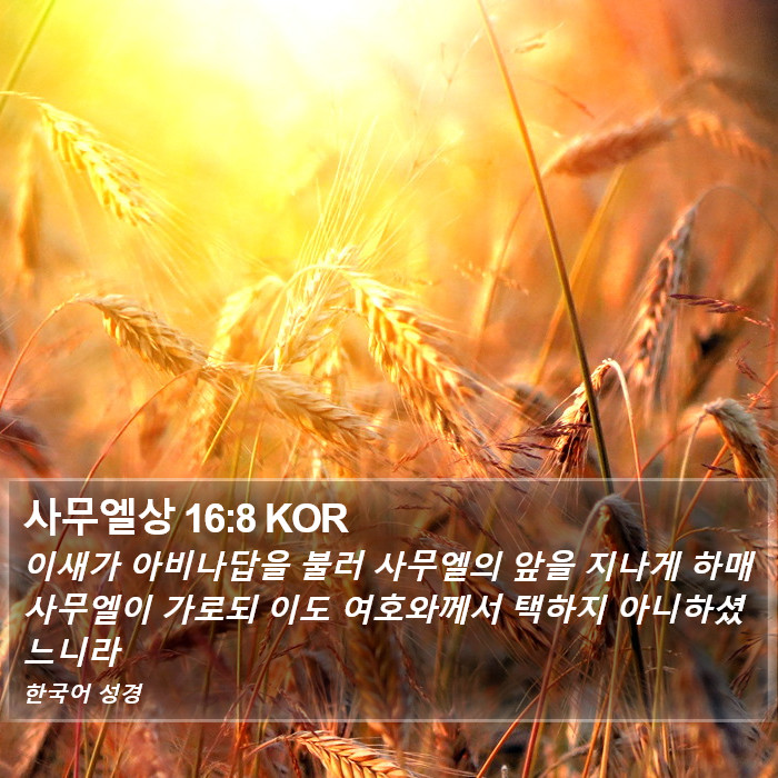사무엘상 16:8 KOR Bible Study