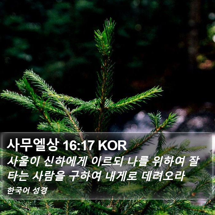 사무엘상 16:17 KOR Bible Study