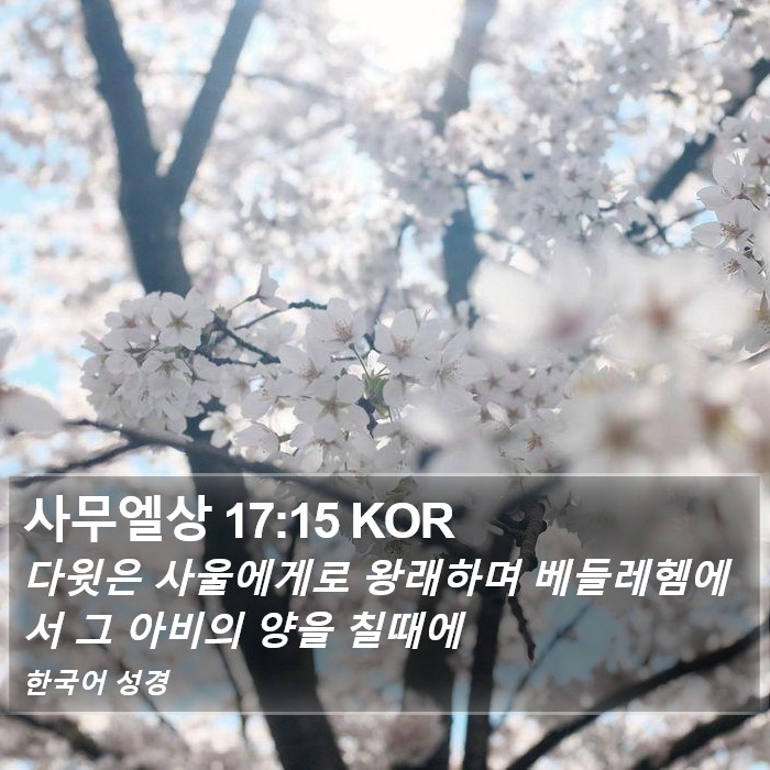사무엘상 17:15 KOR Bible Study