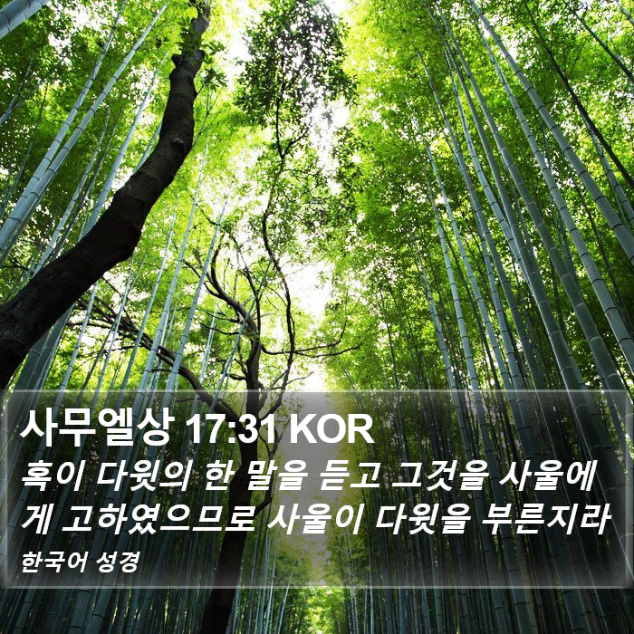 사무엘상 17:31 KOR Bible Study