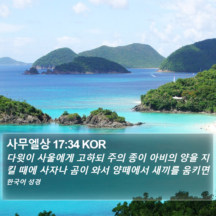 사무엘상 17:34 KOR Bible Study