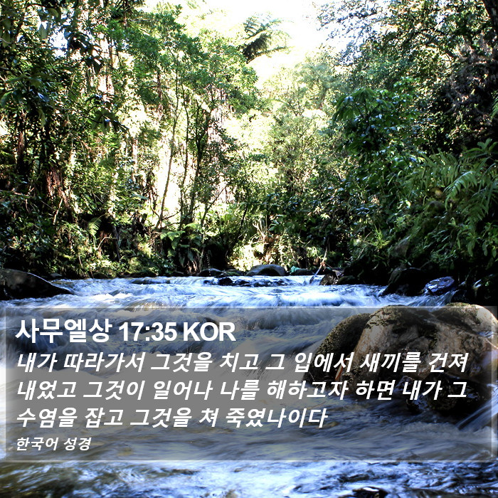 사무엘상 17:35 KOR Bible Study