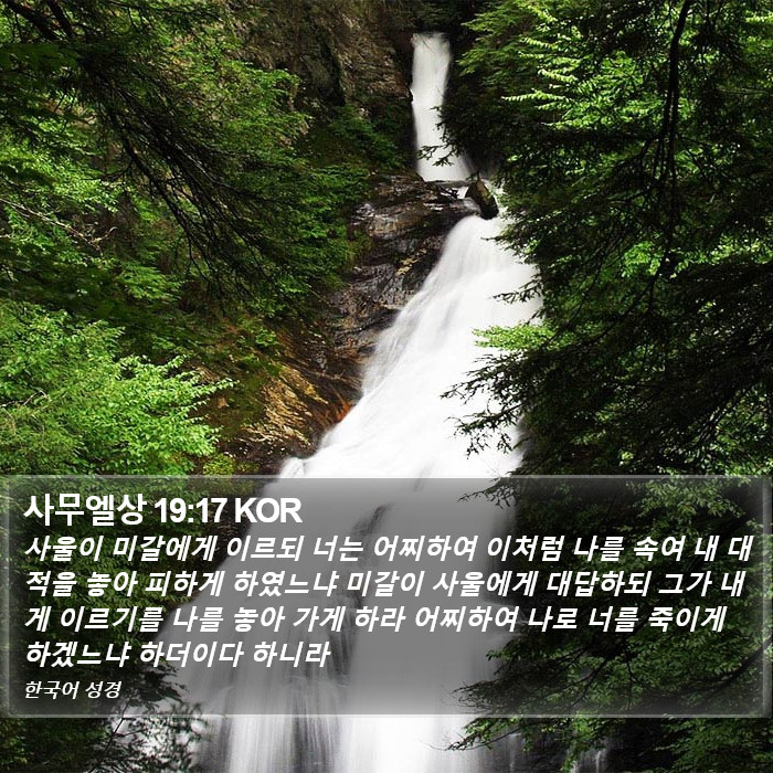 사무엘상 19:17 KOR Bible Study