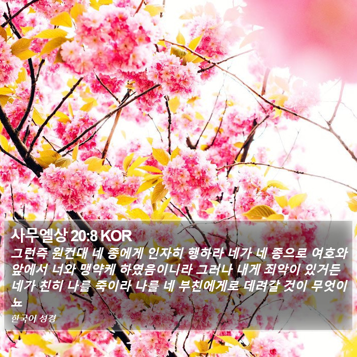 사무엘상 20:8 KOR Bible Study