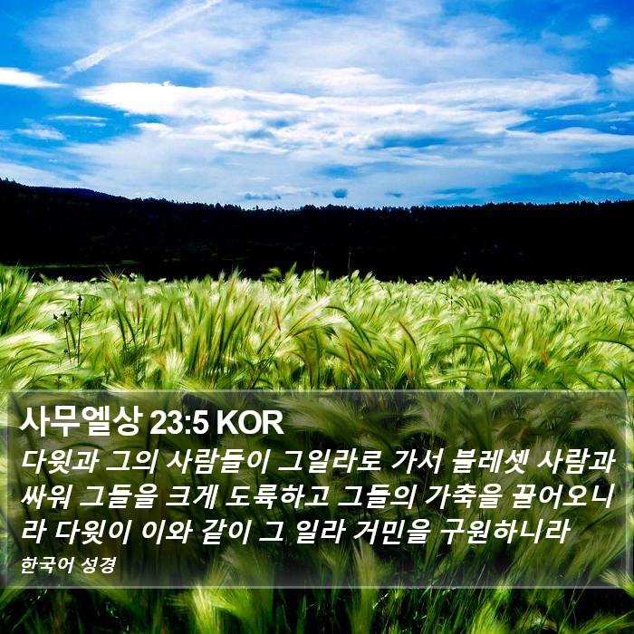 사무엘상 23:5 KOR Bible Study