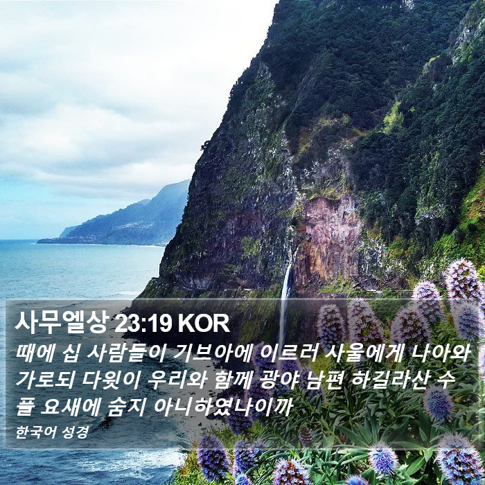 사무엘상 23:19 KOR Bible Study
