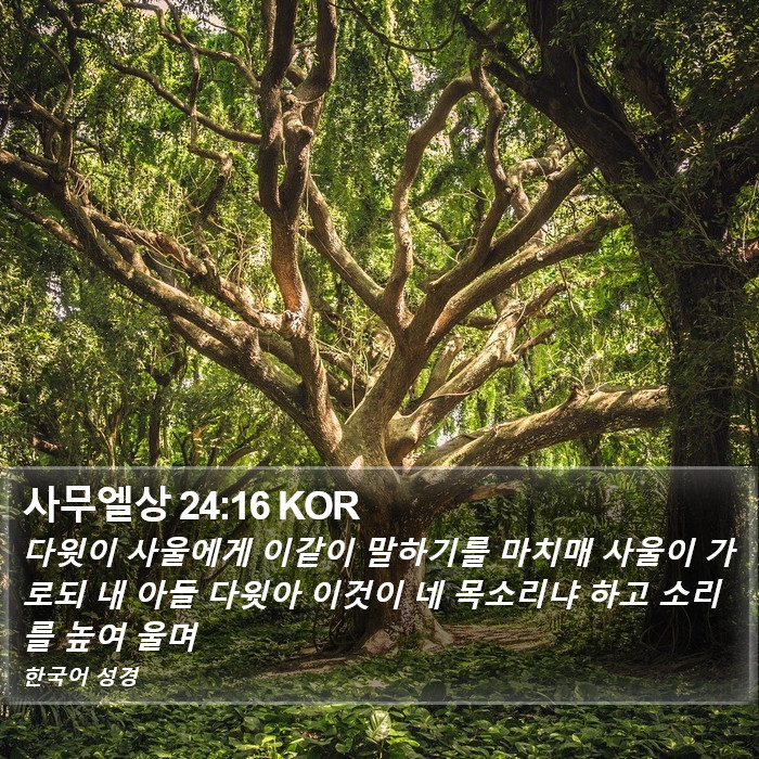 사무엘상 24:16 KOR Bible Study