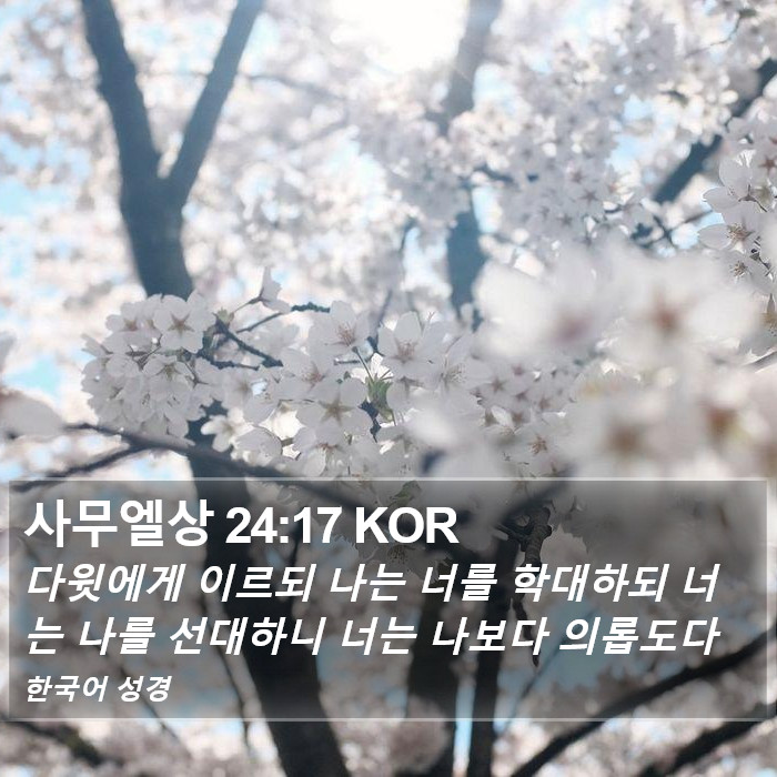 사무엘상 24:17 KOR Bible Study