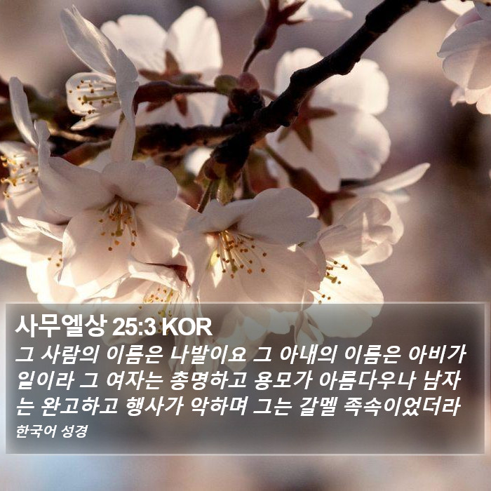 사무엘상 25:3 KOR Bible Study