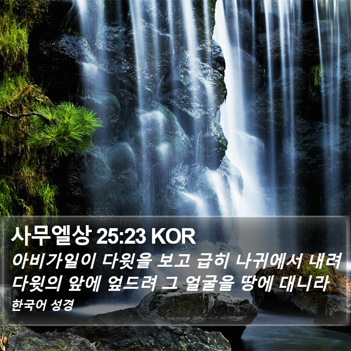 사무엘상 25:23 KOR Bible Study