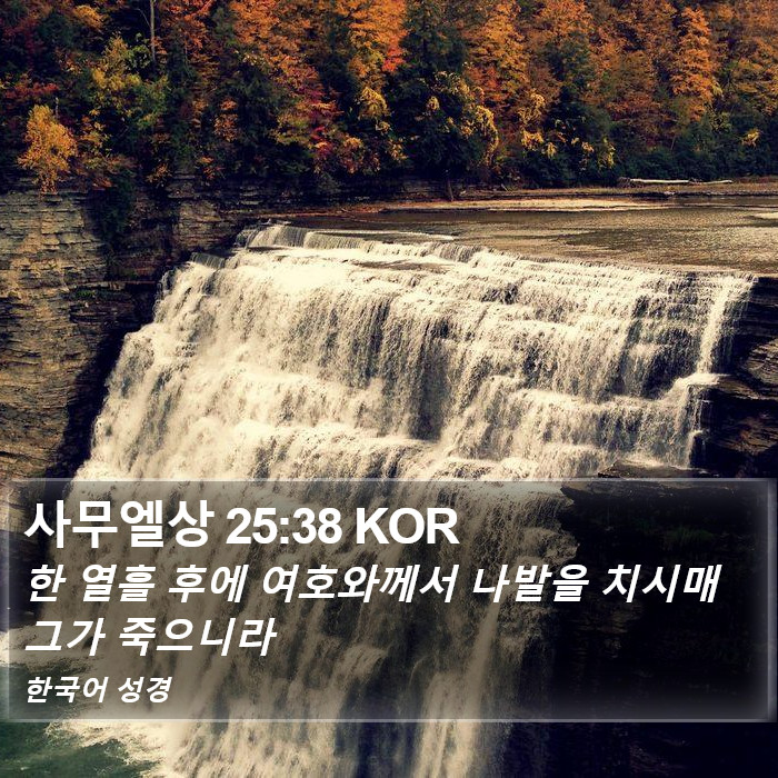 사무엘상 25:38 KOR Bible Study