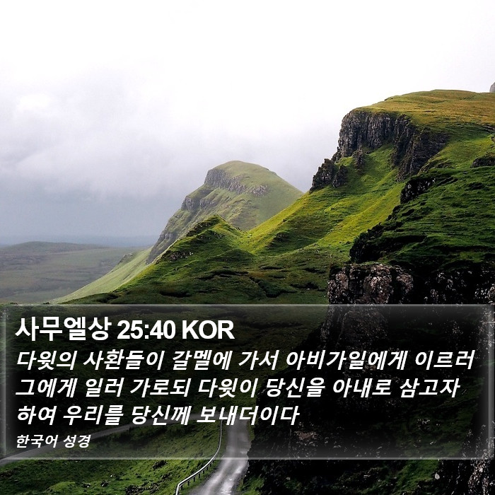 사무엘상 25:40 KOR Bible Study