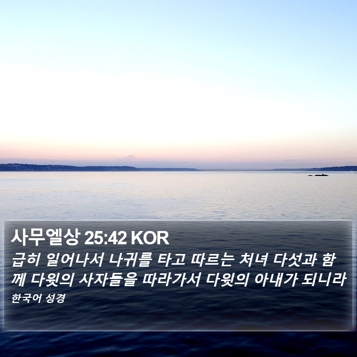 사무엘상 25:42 KOR Bible Study