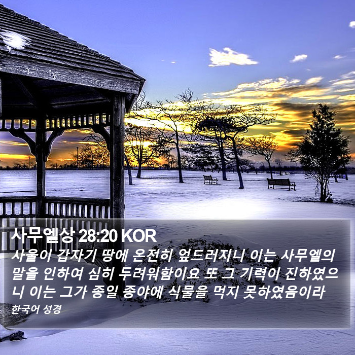 사무엘상 28:20 KOR Bible Study