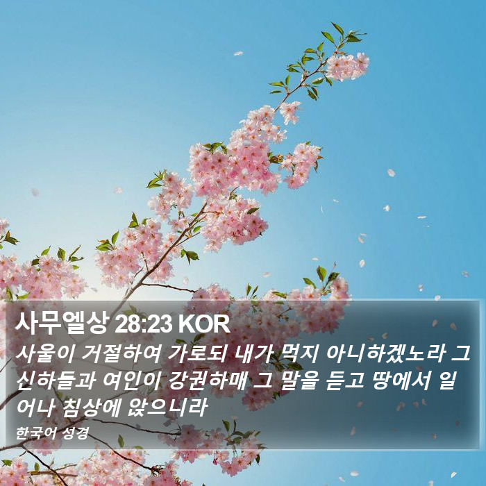 사무엘상 28:23 KOR Bible Study