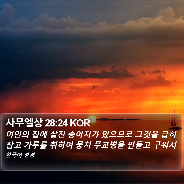 사무엘상 28:24 KOR Bible Study