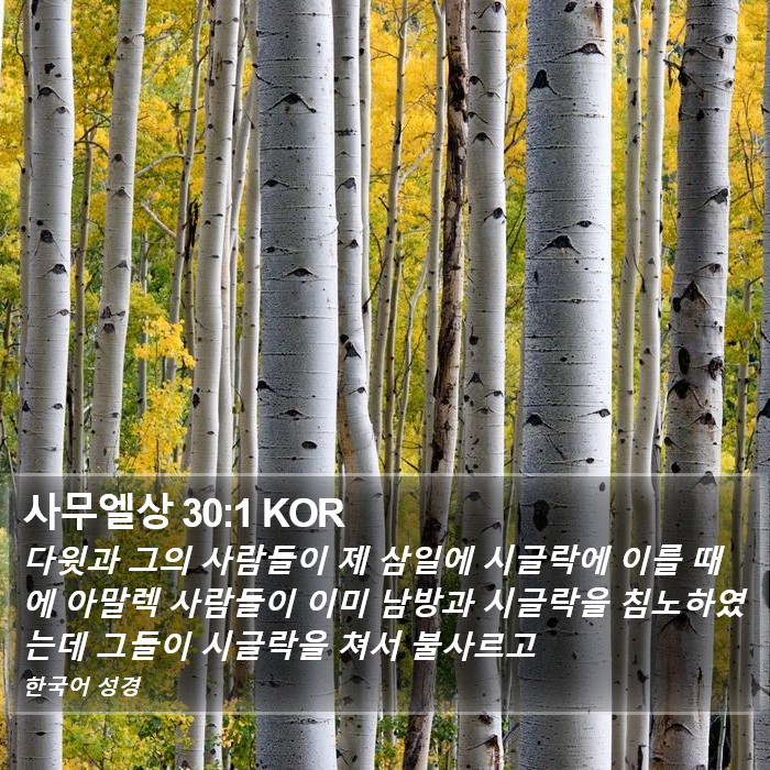 사무엘상 30:1 KOR Bible Study