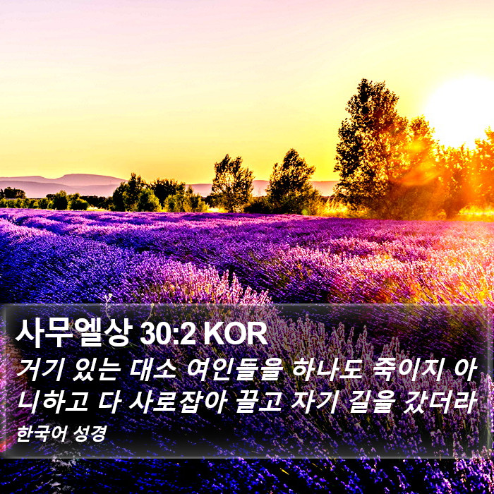 사무엘상 30:2 KOR Bible Study