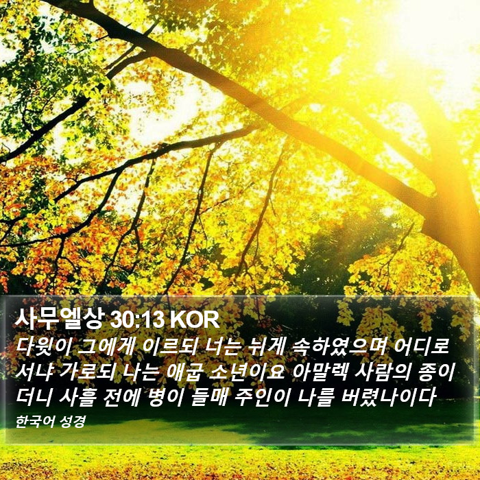 사무엘상 30:13 KOR Bible Study